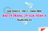 Bài 19 trang 29 Toán 8 Tập 2 Chân trời sáng tạo